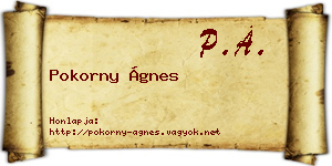 Pokorny Ágnes névjegykártya
